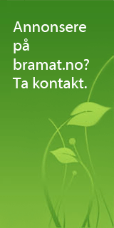 Ad right 160x320