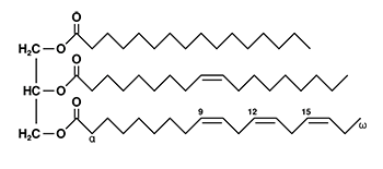 fat triglyceride shorthand formula